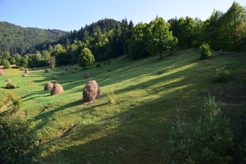 Camin de batrani La Coca - Bicaz