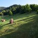 Camin de batrani La Coca - Bicaz